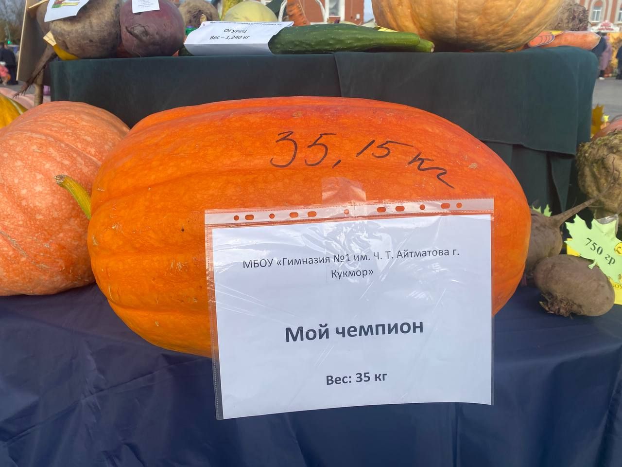 В Кукморе прошла осенняя ярмарка образовательных учреждений «Юннат-2023»