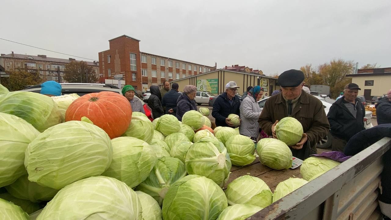 В Кукморе на территории РайПО прошла осенняя сельскохозяйственная ярмарка
