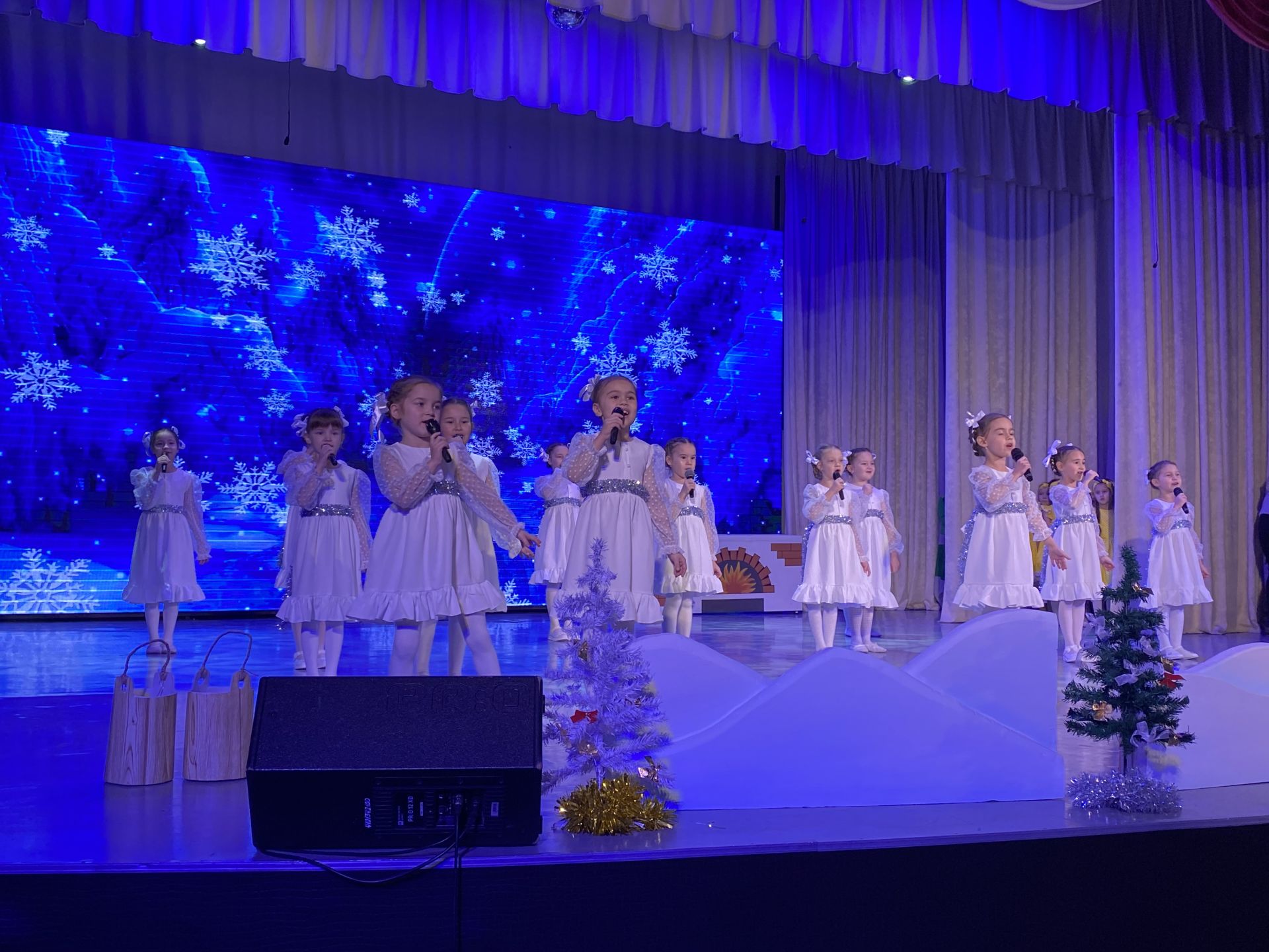 В Кукморе прошла Елка главы района