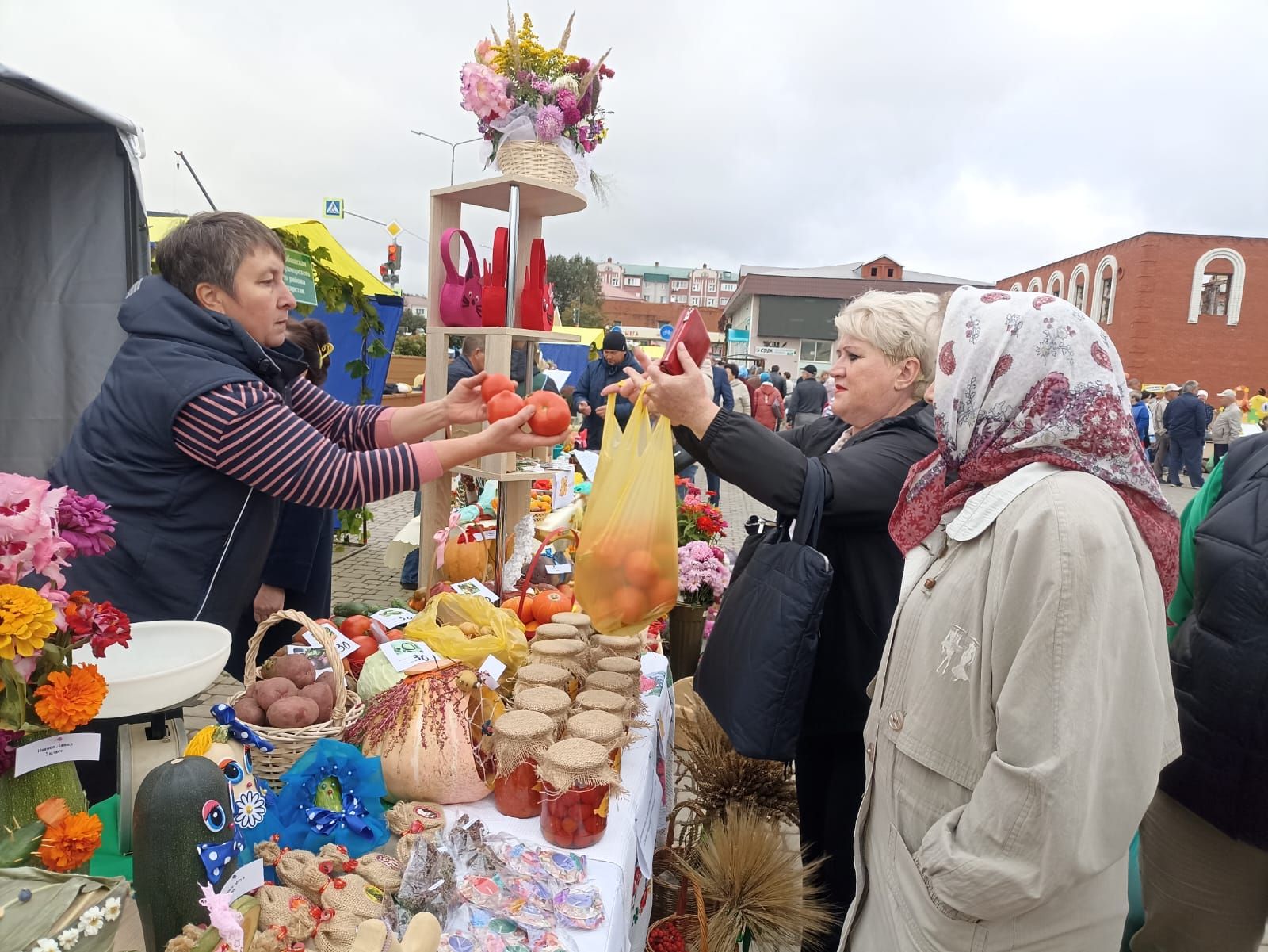 Кукмарада мәгариф учреждениеләренең көзге ярминкәсе узды