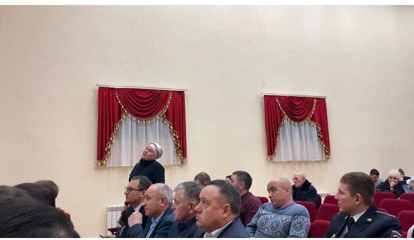 В селе Большой Кукмор состоялся сход граждан