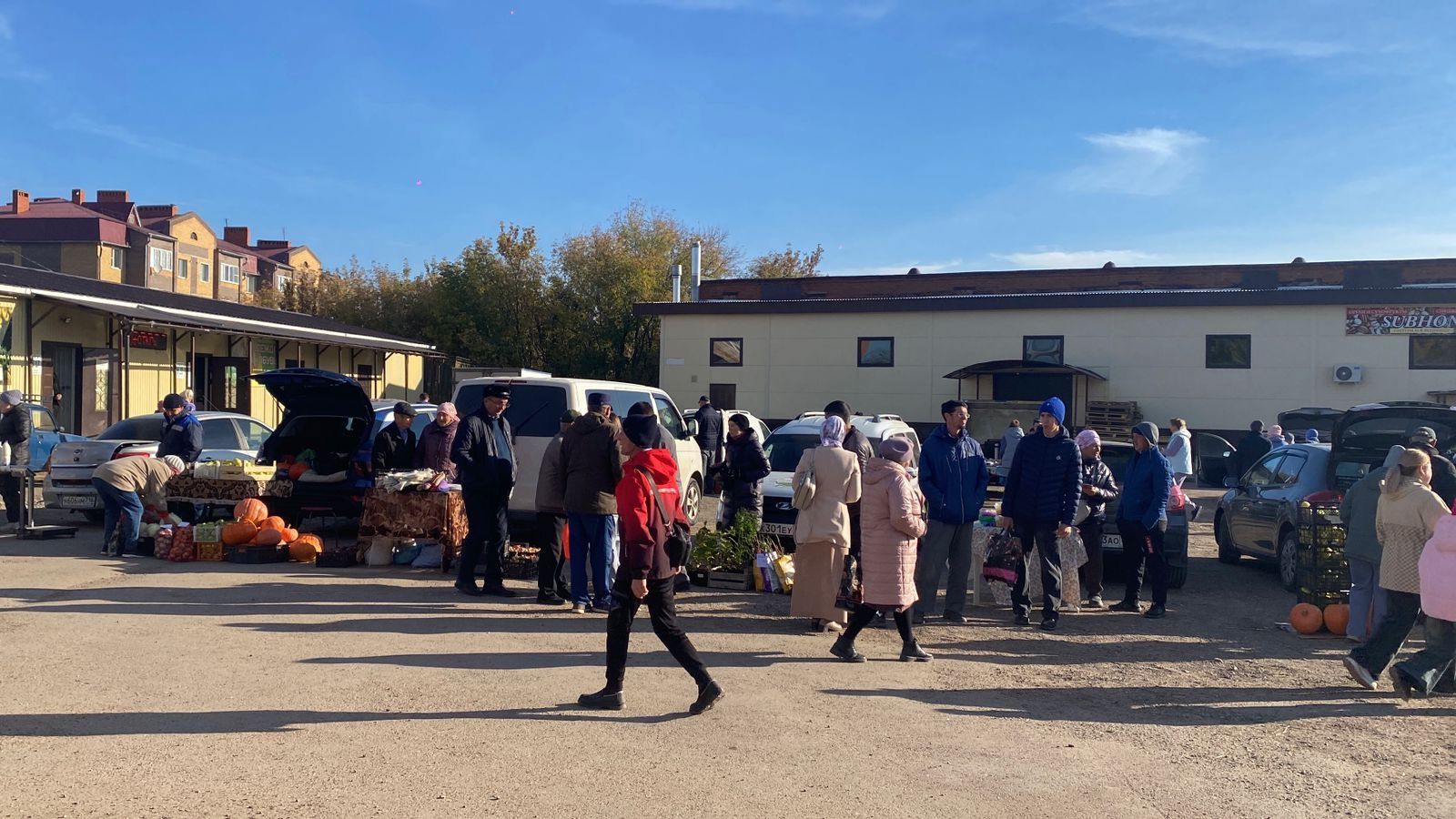 Кукмарада Өлкәннәр декадасы уңаеннан авыл хуҗалыгы продукцияләре ярминкәсе оештырылды