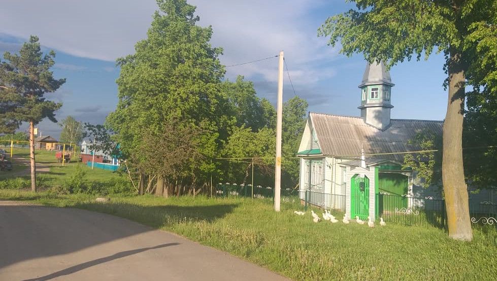 Авылның рәхәтен шәһәрдә аңлап булмый
