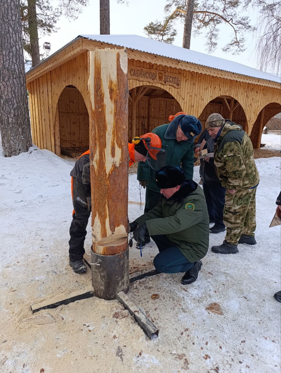 В Кукморском районе прошли соревнования по компетенции «Вальщик леса» чемпионата «Профессионалы-2025»