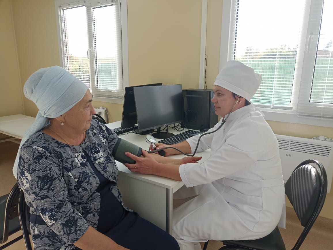 Березняк авылында яңа ФАП ачылды