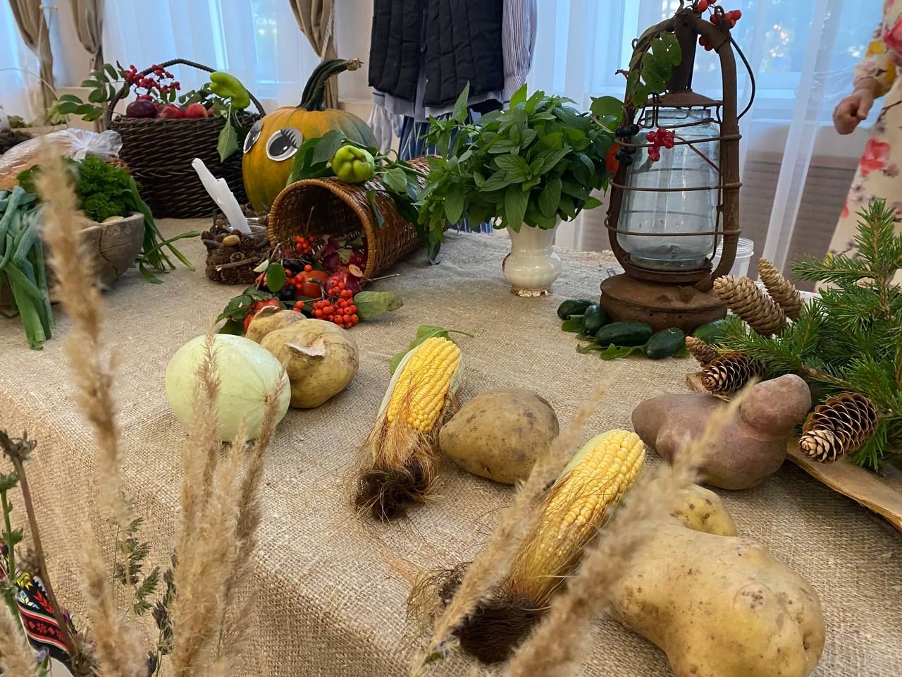 «Сумбеля»: в Кукморе отметили праздник урожая, объединивший садоводов