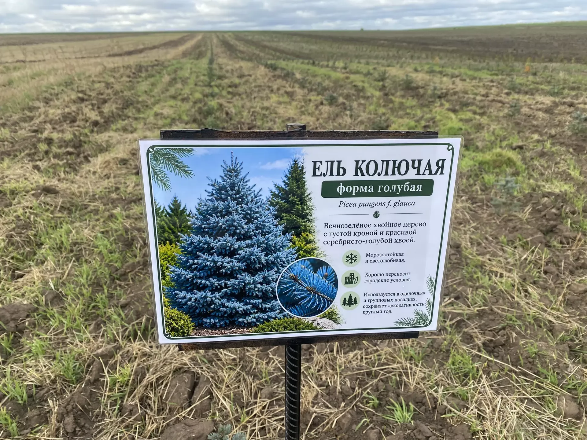 Кукмара районында авыл җирлекләре башлыклары өчен семинар-киңәшмә узды
