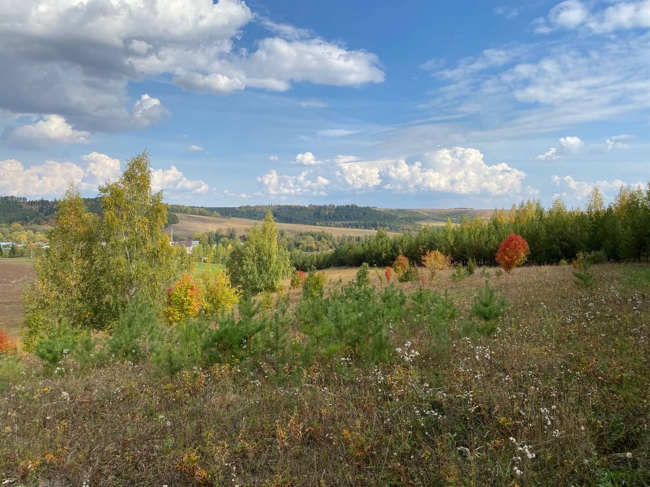 Звезды расскажут, каким будет день 5 октября