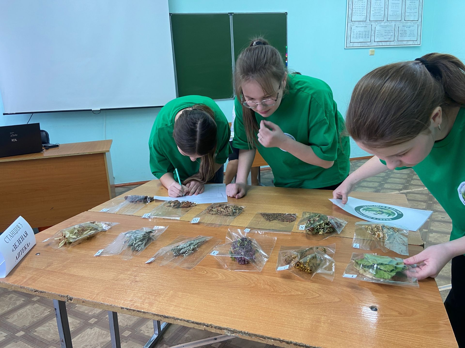 В Кукморском районе прошёл межрайонный экологический квест «Защитники природы»