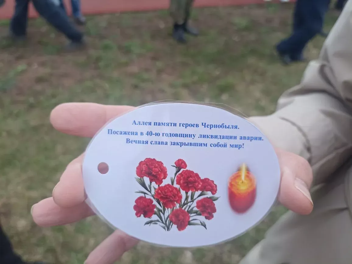 Кукмарада Чернобыль геройлары истәлегенә алмагач үсентеләре утырттылар