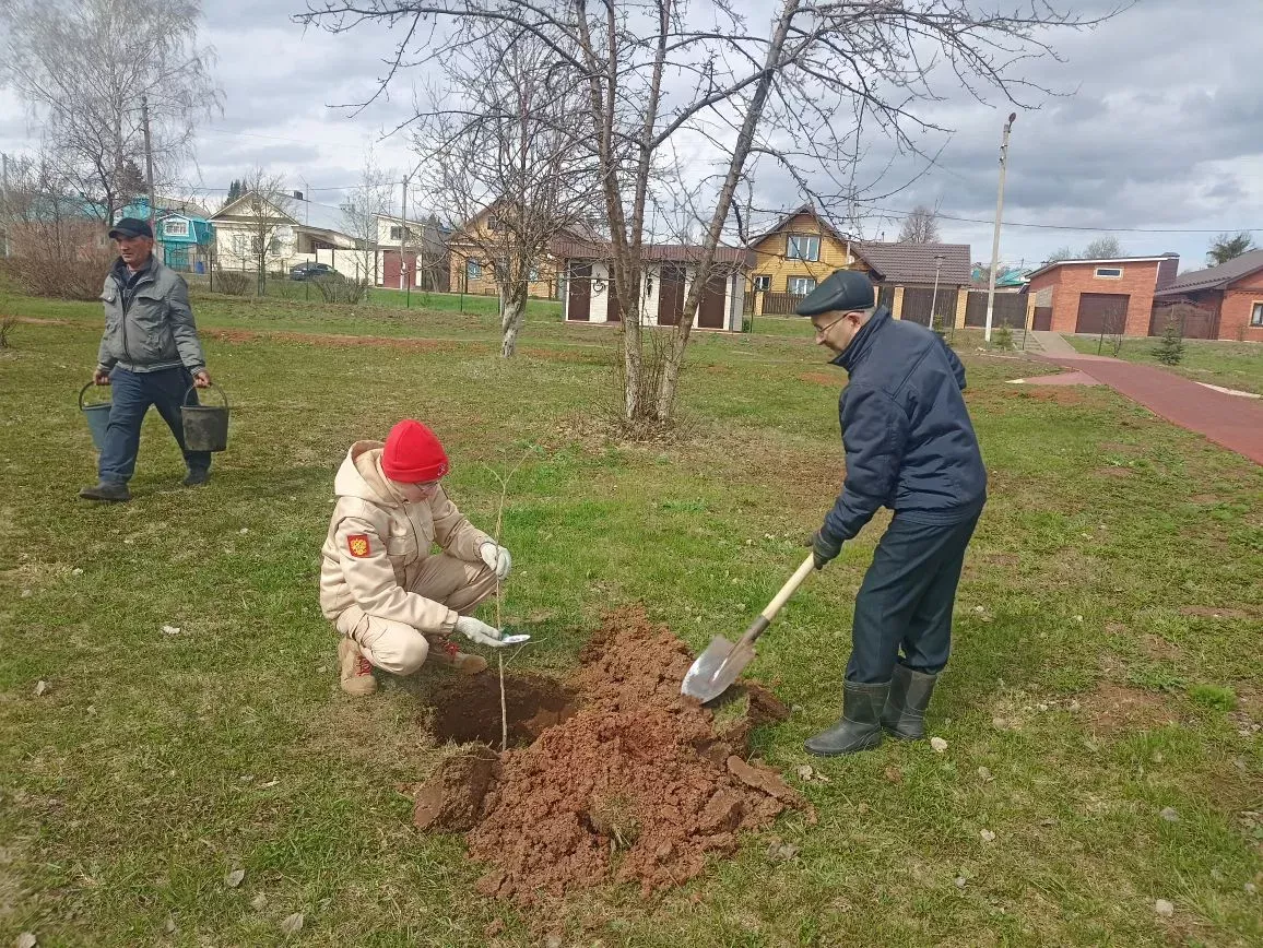 Кукмарада Чернобыль геройлары истәлегенә алмагач үсентеләре утырттылар