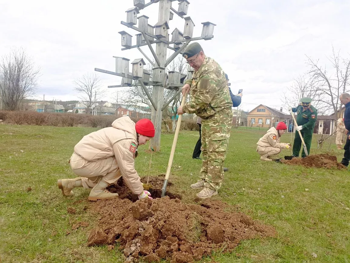 Кукмарада Чернобыль геройлары истәлегенә алмагач үсентеләре утырттылар
