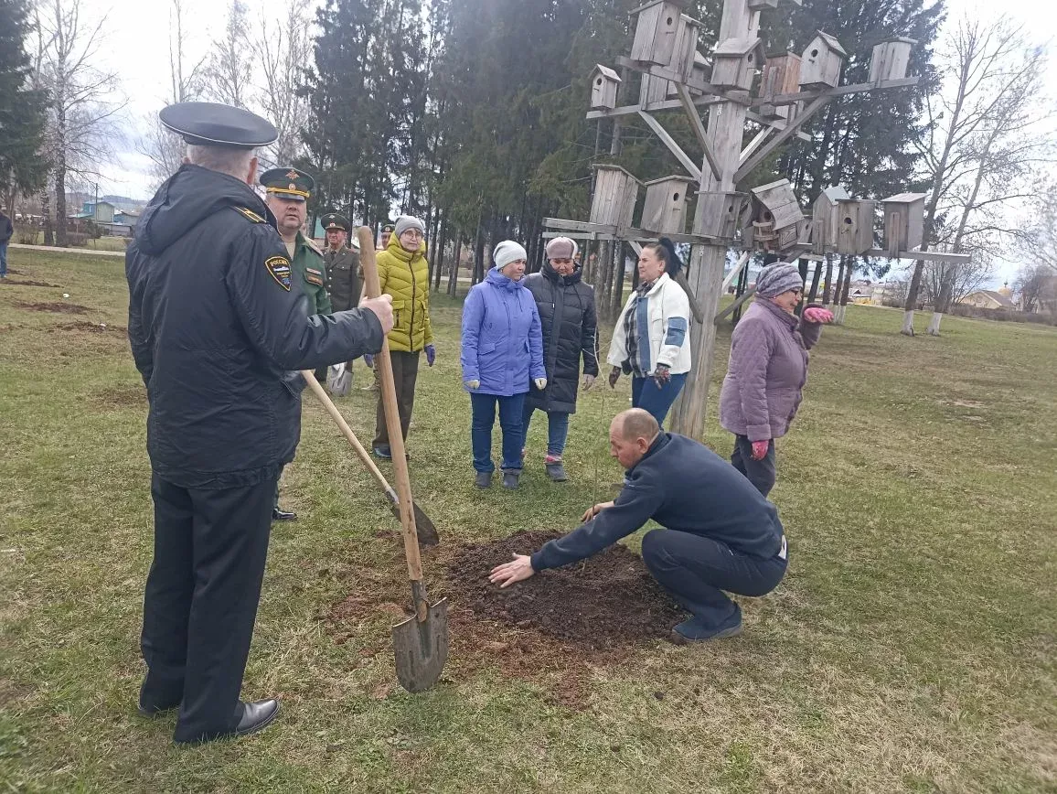 Кукмарада Чернобыль геройлары истәлегенә алмагач үсентеләре утырттылар
