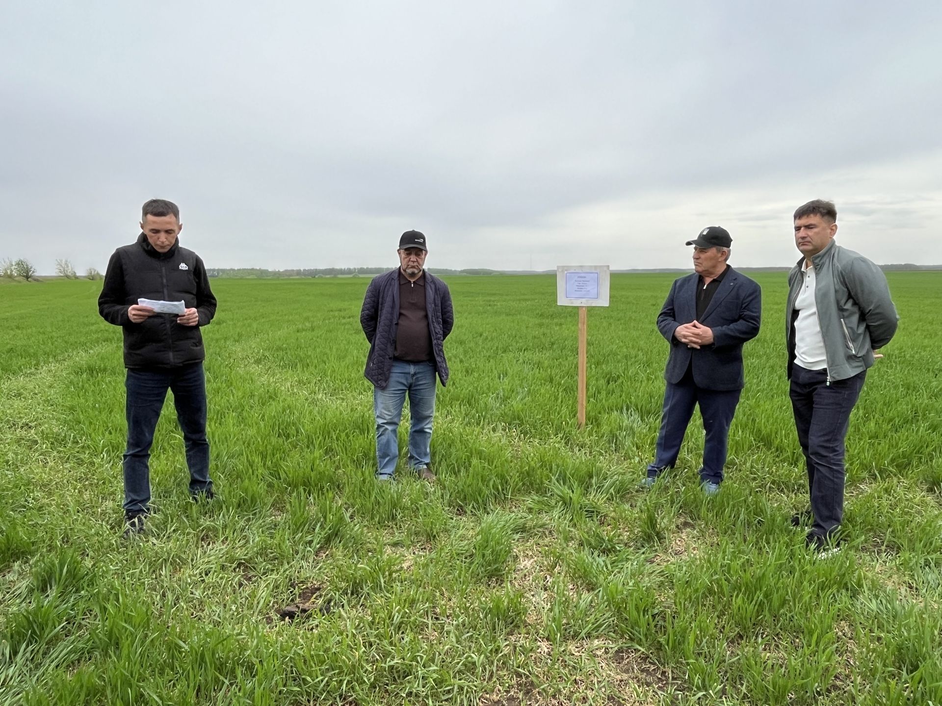 Развитие сельского хозяйства: в Кукморском районе реализуют проекты на сотни миллионов рублей