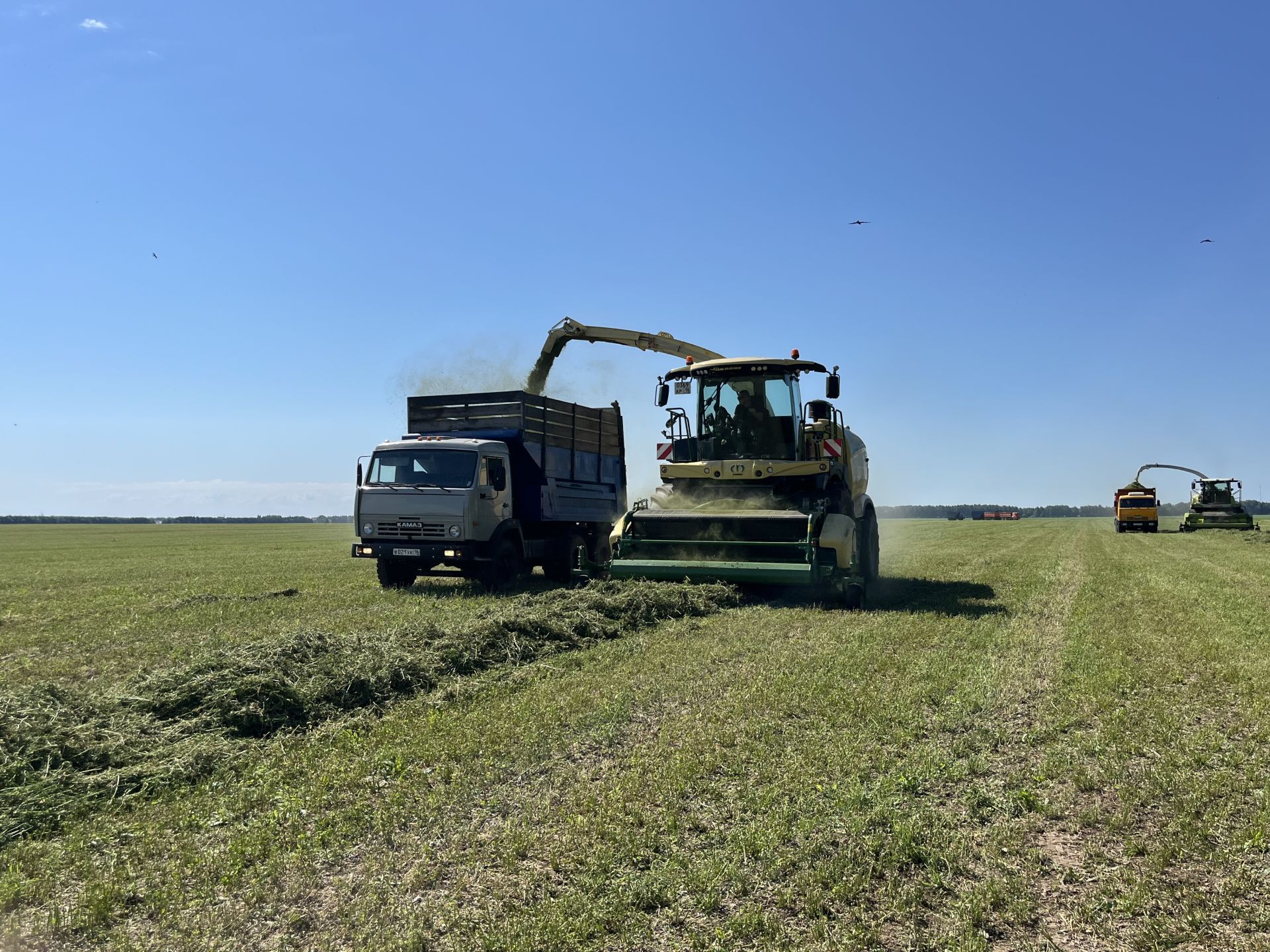 От рассвета до заката: как в Кукморском районе создают кормовой запас на зиму