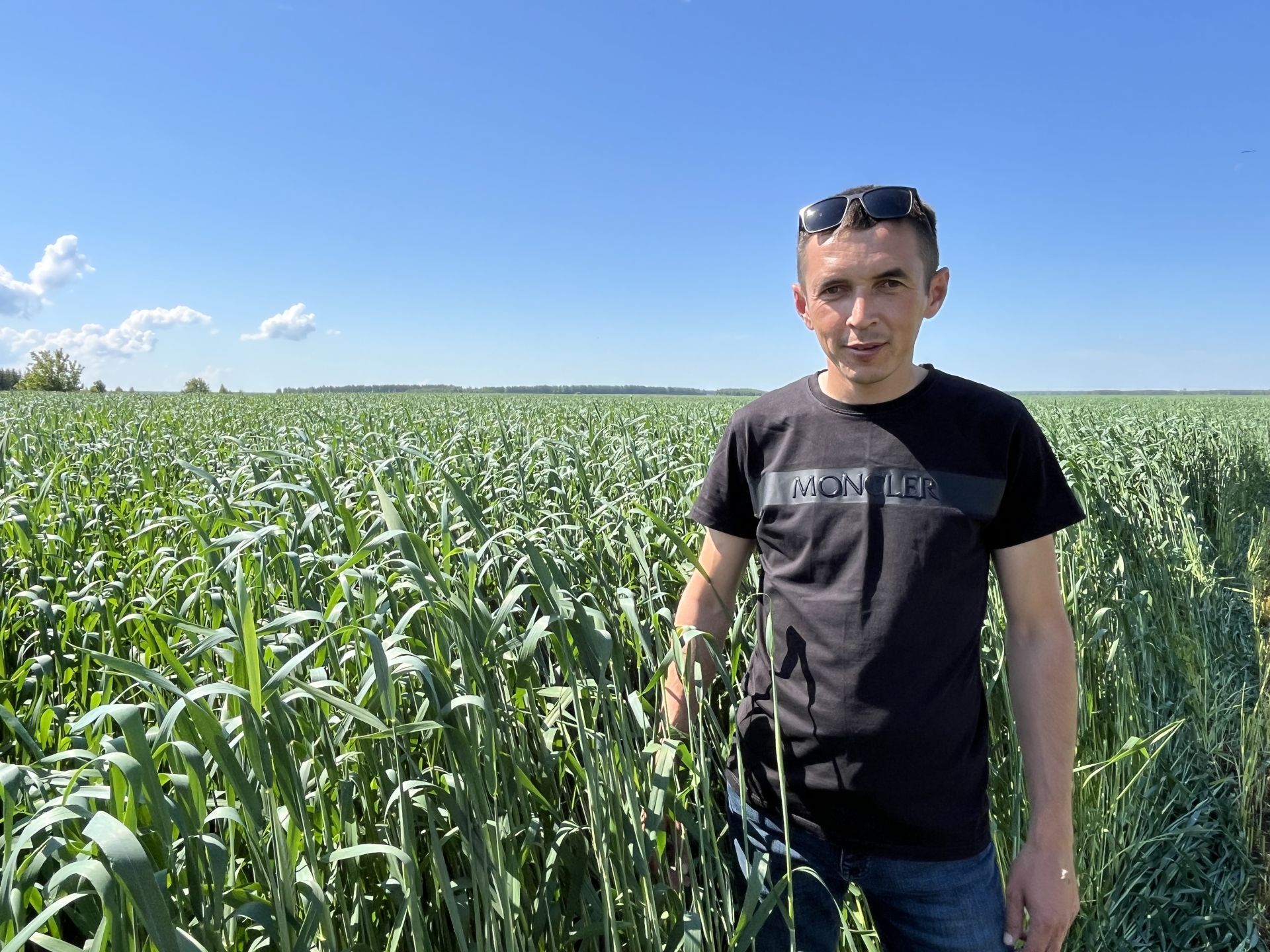 От рассвета до заката: как в Кукморском районе создают кормовой запас на зиму