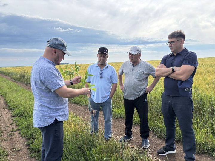 В Кукморском районе подвели предварительные итоги полевого сезона перед уборкой (фоторепортаж)
