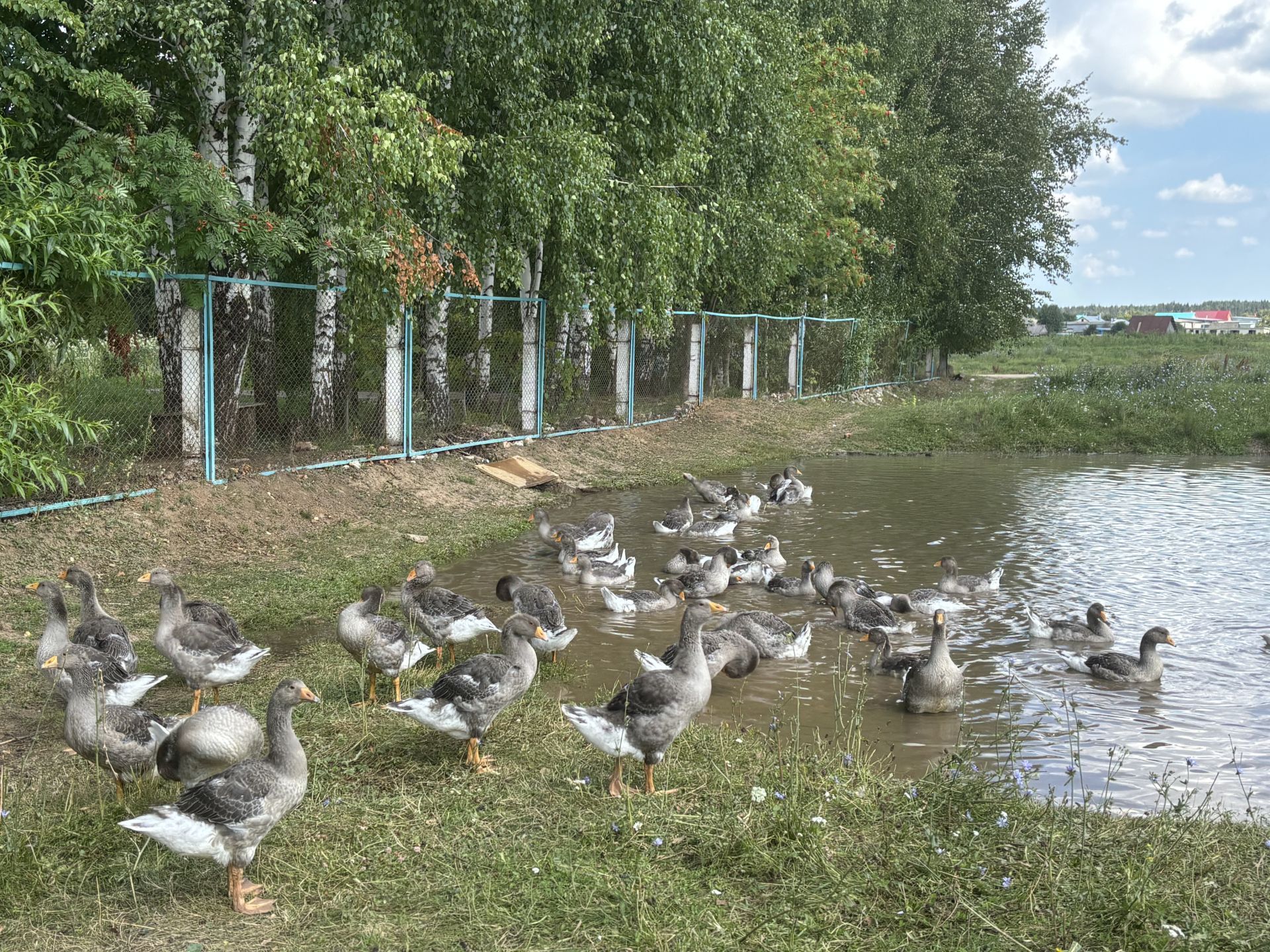 Лельвиж мәктәбе: матурлык белән хезмәт янәшә