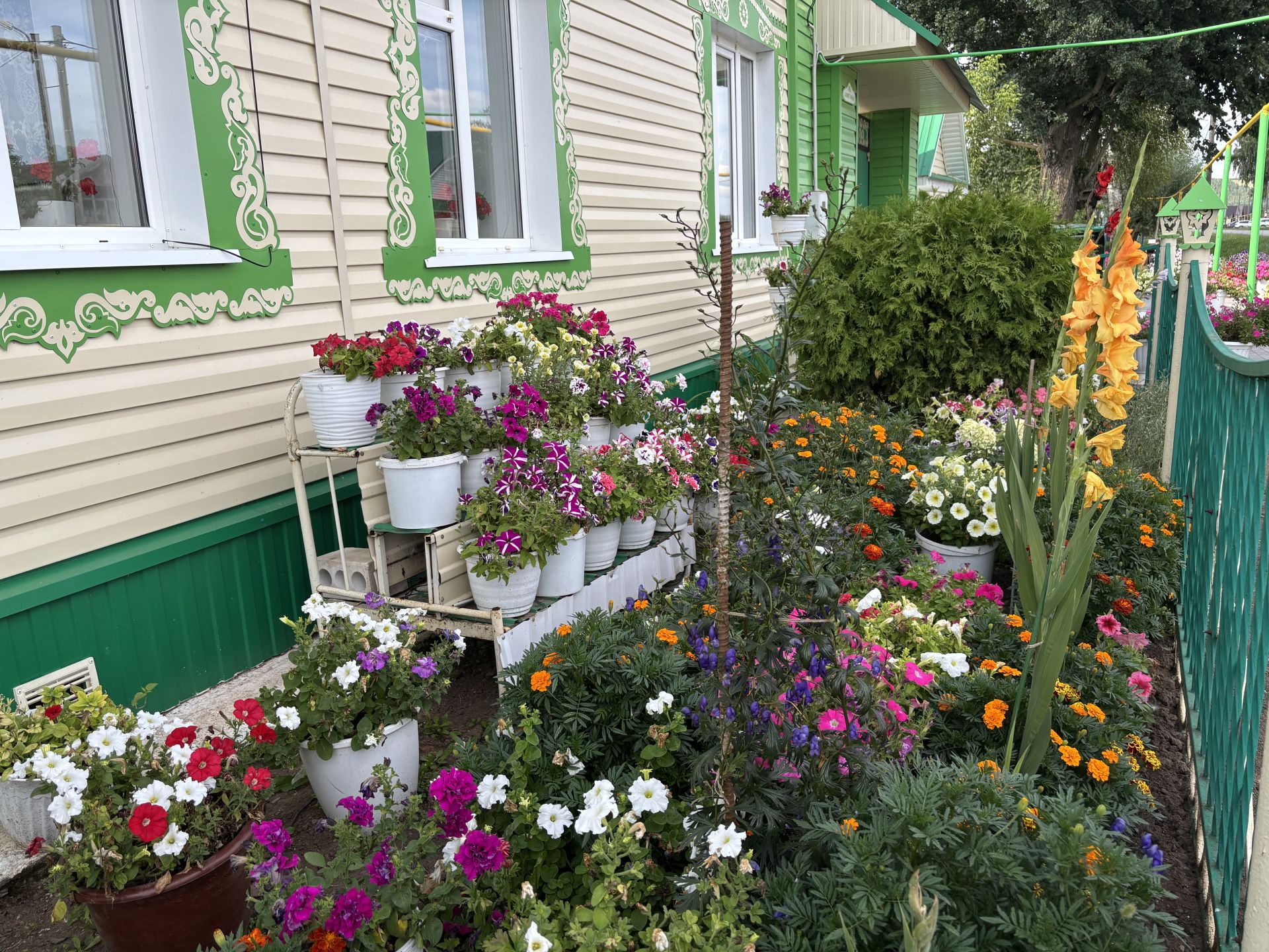 Матурлык тудыручы: Кукмара районыннан Гөлфия Билалова 200гә якын төрдәге гөл-чәчәк үстерә