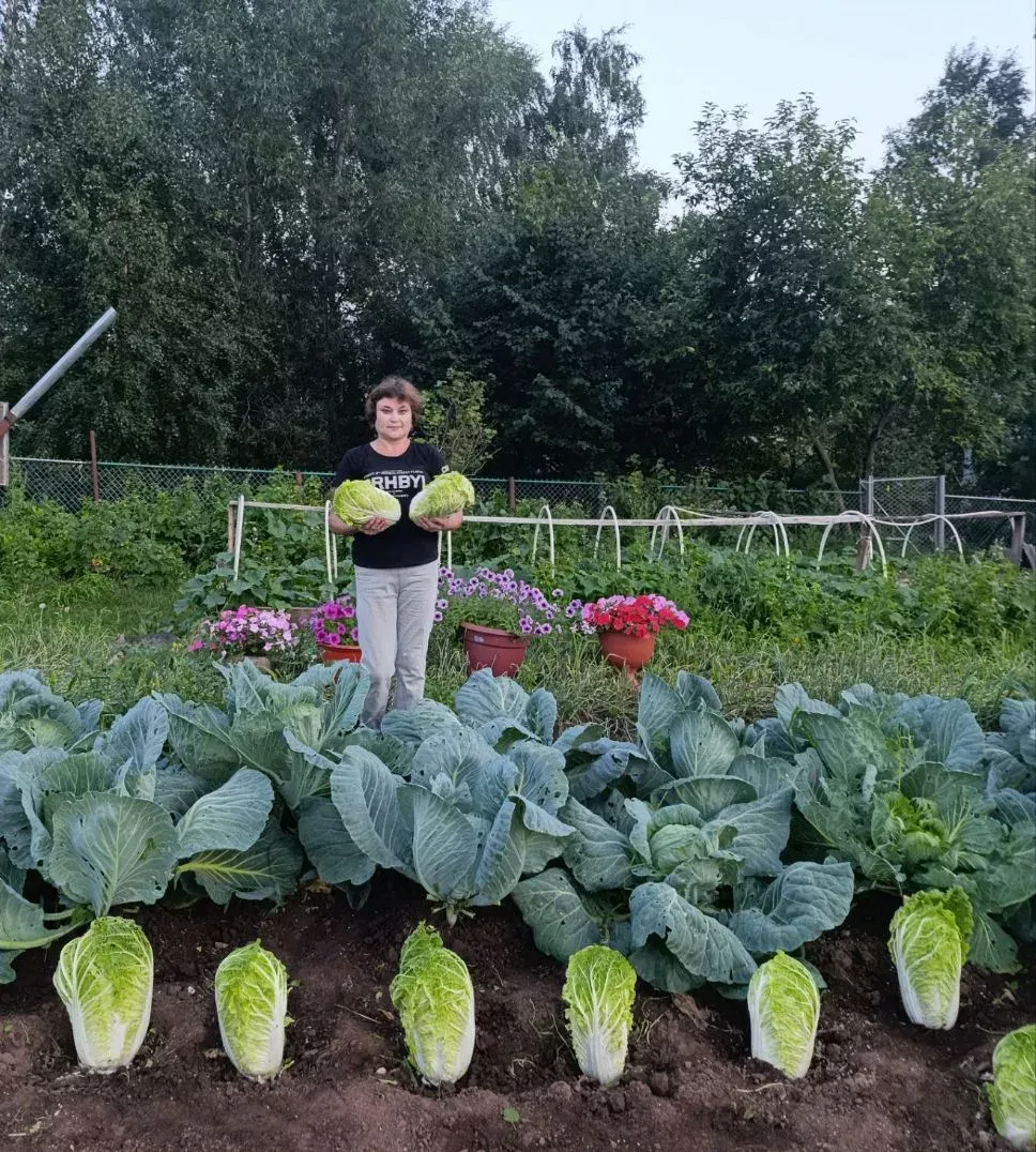 Укытучы да, оста бакчачы да: Кукмара районыннан Гөлназ Нәҗипованың мул уңыш серләре