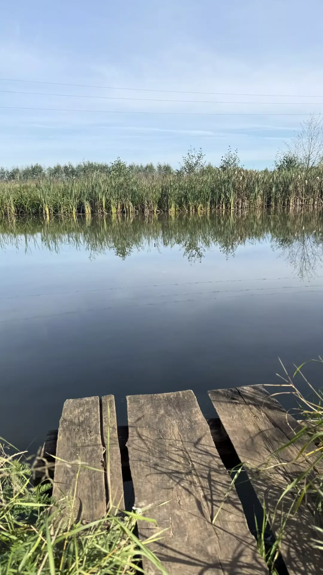 В Кукморском районе ожидается  туман и до +25 градусов
