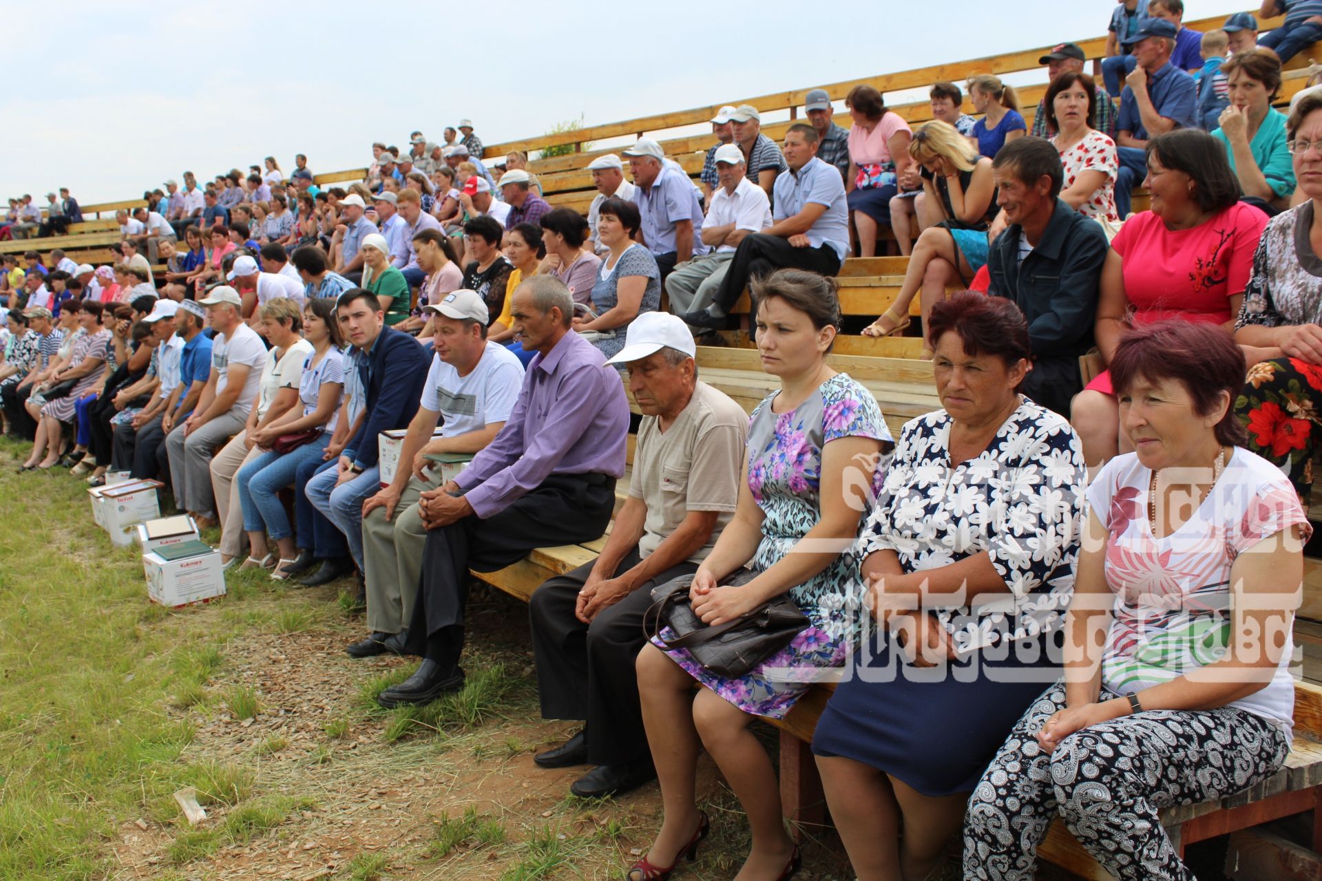 Кукмара терлекчеләре һәм ветеринария хезмәткәрләре Сабантуй бәйрәмендә ял итте