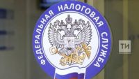 Татарстанцы узнают об особенностях применения автоУСН на вебинаре