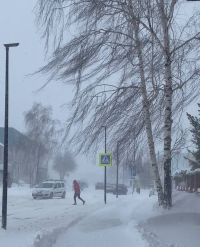 Кышкы буран: Бу күренеш күңелгә җылылык һәм тынычлык бирә