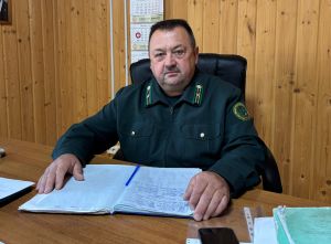 Кукмара урманчылыгы җитәкчесе Илсаф Хаев: Урман бер көндә генә үсә торган байлык түгел