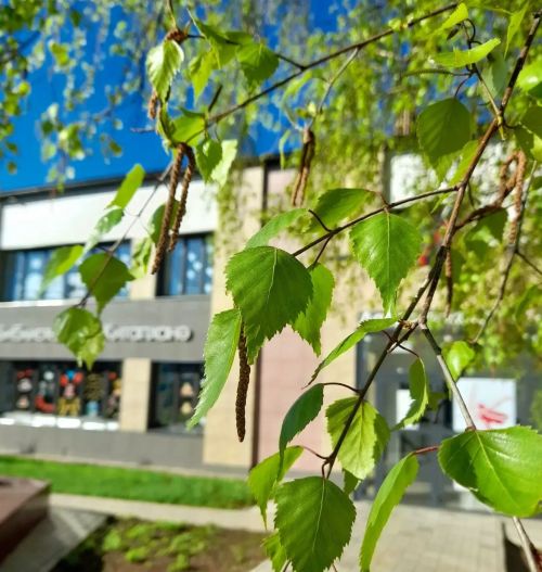 Жителей Кукморского района ждёт тёплый июльский день