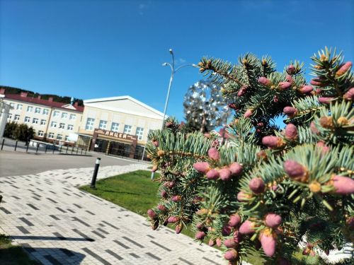 Кукморский многопрофильный лицей имени Атласа Булатова