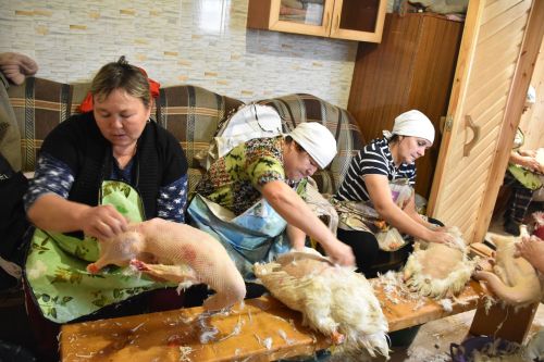 Арпаяз авылыннан Илһамия Басыйрова: «Каз өмәсен ел да көтеп алам»