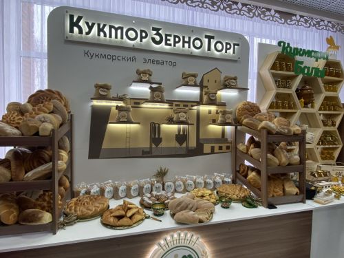 В Кукморском районе состоялось заседание, посвященное итогам социально-экономического развития за прошлый год