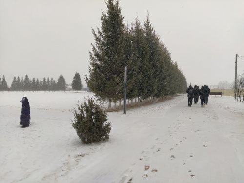 В Кукморском районе ожидается метель и порывистый ветер