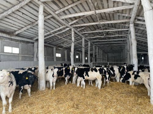 В КФХ имени Данила Хадиева состоялся семинар-совещание