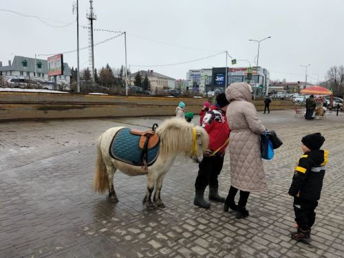 Кукмарада Нәүрүз бәйрәмен билгеләп үттеләр