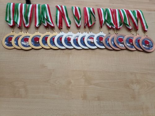 Кукмараның “Барс Арена” спорткомплексы теннисчыларны үзенә җыйды