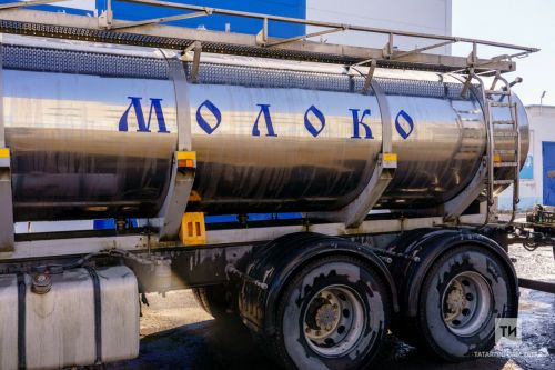 Кукмара районы тәүлеклек савым буенча 400 тонна күрсәткечен узды