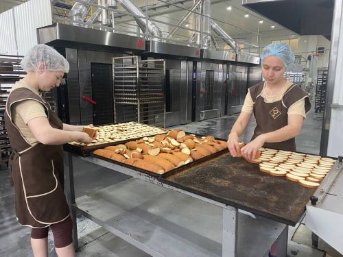 В Кукморе планируют создать новый промпарк