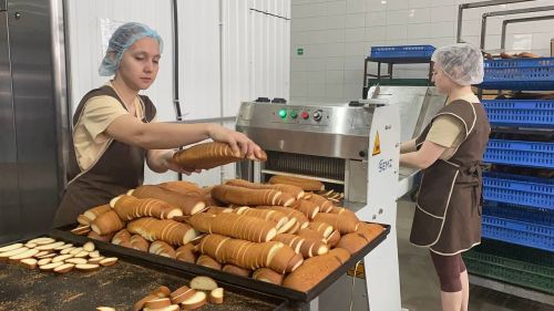 В Кукморе планируют создать новый промпарк