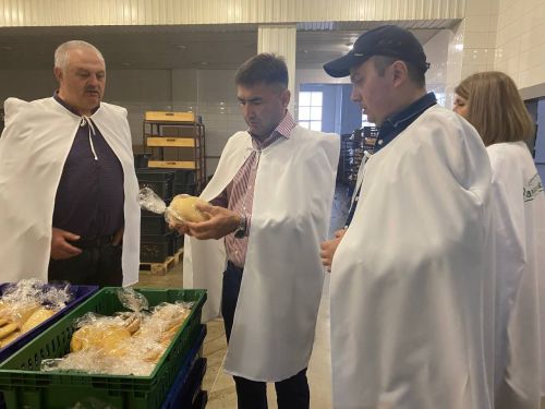 В Кукморе планируют создать новый промпарк