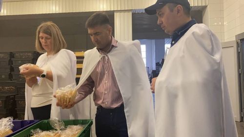 В Кукморе планируют создать новый промпарк