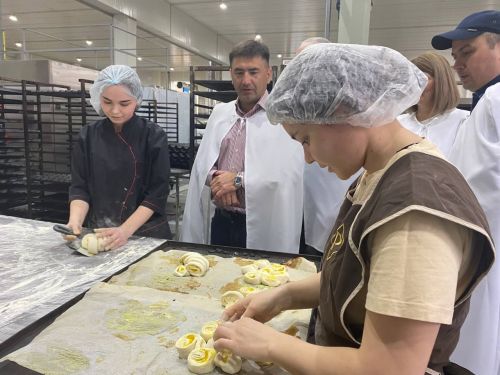 В Кукморе планируют создать новый промпарк