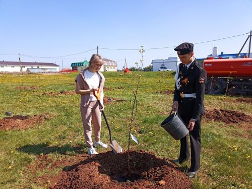 Кукмарада алмагач бакчасына беренче агачлар утыртылды