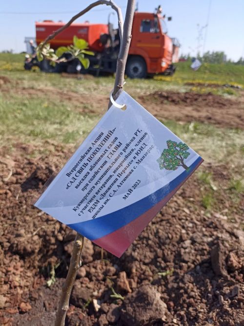 Кукмарада алмагач бакчасына беренче агачлар утыртылды