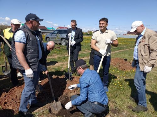 Кукмарада алмагач бакчасына беренче агачлар утыртылды