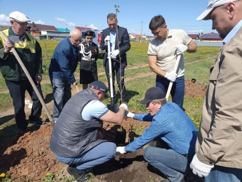 Кукмарада алмагач бакчасына беренче агачлар утыртылды