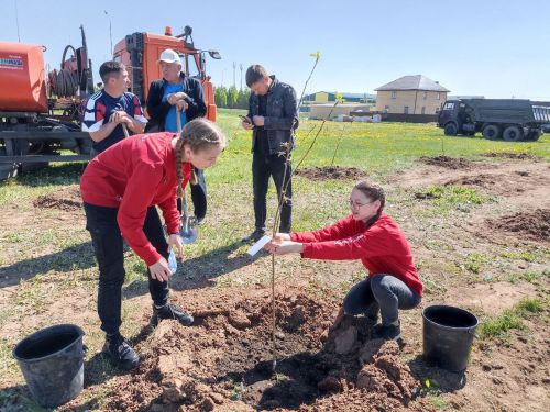 Кукмарада алмагач бакчасына беренче агачлар утыртылды