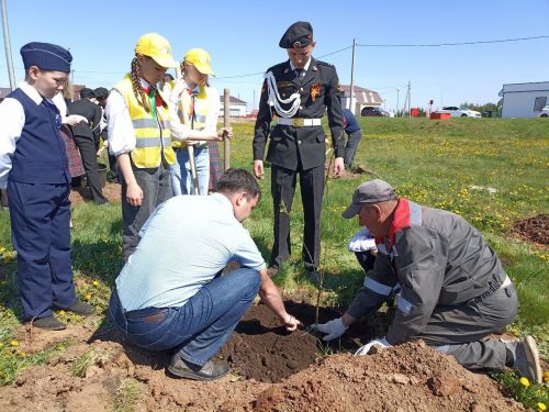 Кукмарада алмагач бакчасына беренче агачлар утыртылды