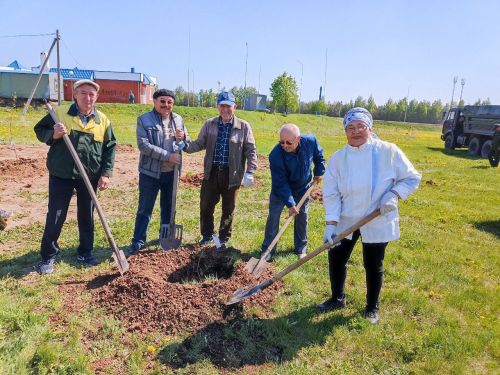 Кукмарада алмагач бакчасына беренче агачлар утыртылды